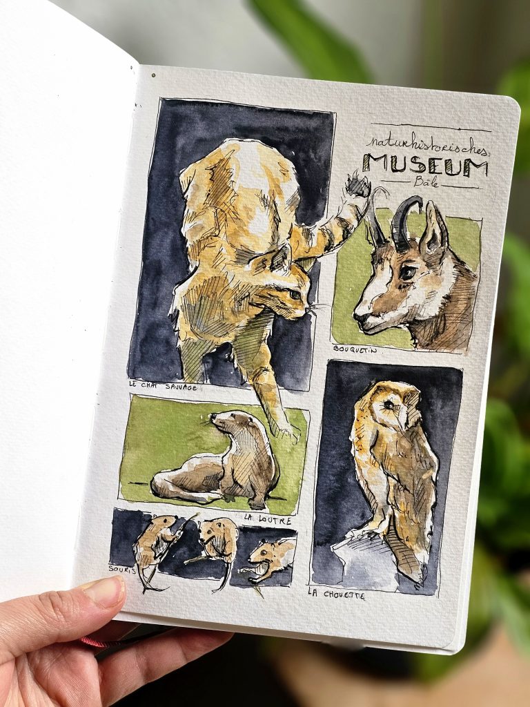 Stage dessin à Mulhouse Atelier Angéline, cours de dessin et peinture, activité artistique créative pour enfants et adultes, atelier dessin Mulhouse, loisirs créatifs Haut-Rhin 68 Alsace